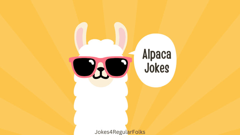 Alpaca Jokes
