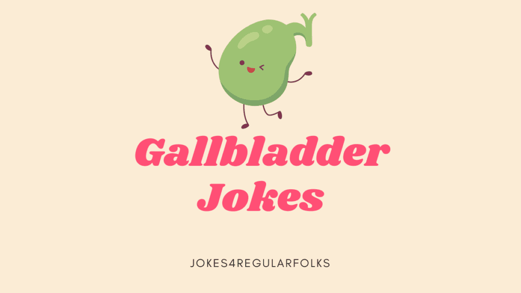 Big Booty Jokes | OUR JOKES ARE BETTER