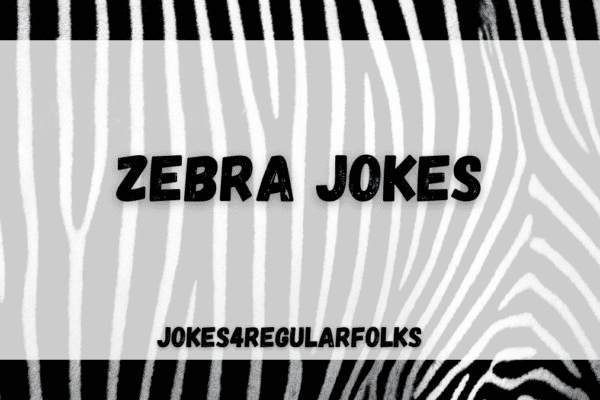 zebra jokes
